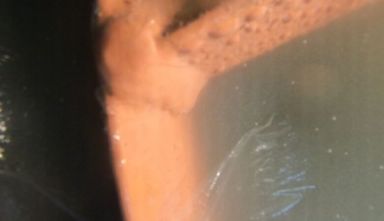 KEEPING SHIPS AFLOAT: HOW UNDERWATER SERVICES REVOLUTIONIZED SHIP REPAIR AND MAINTENANCE?