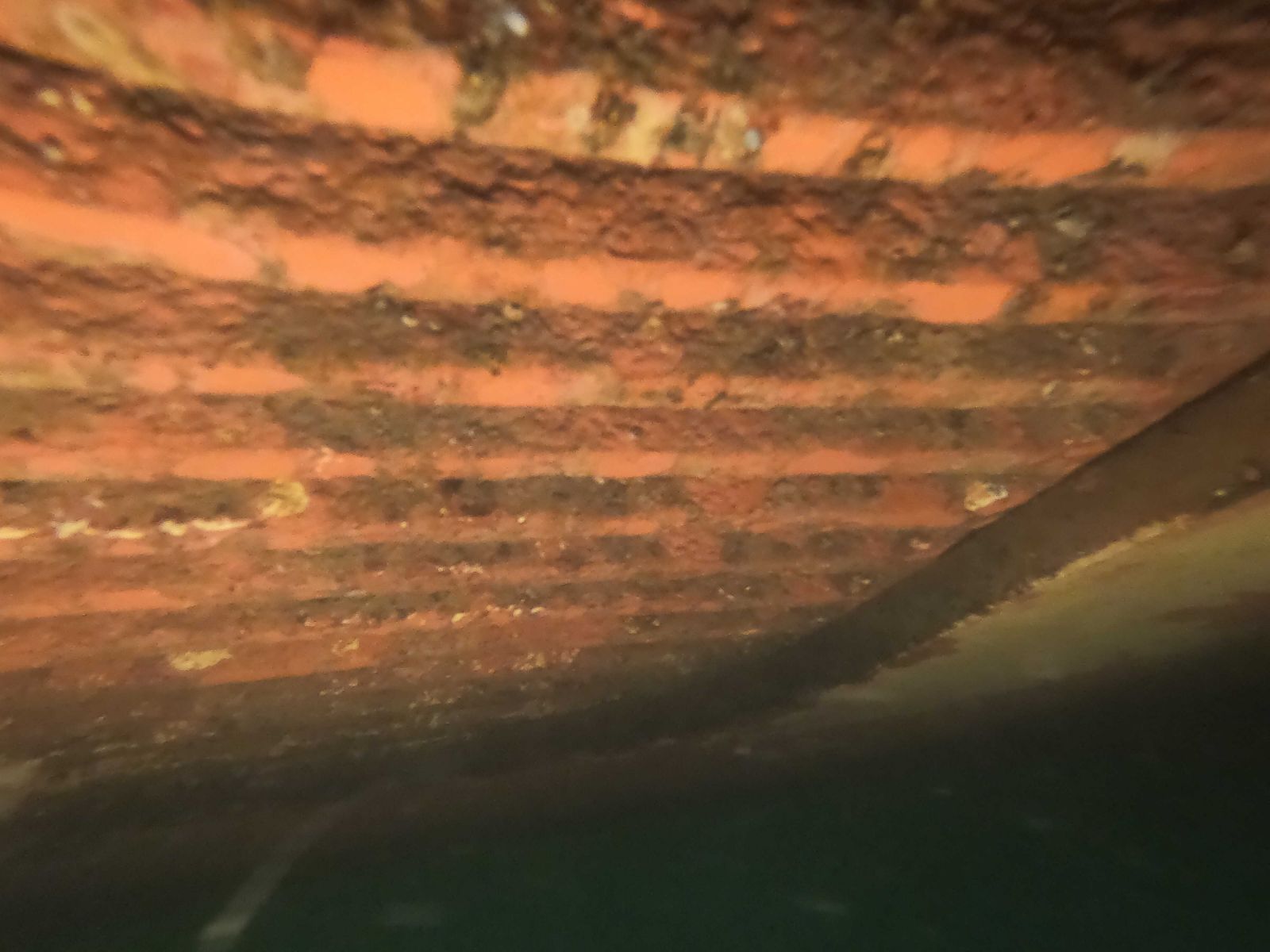 Image of underwater inspection service in Vietnam.